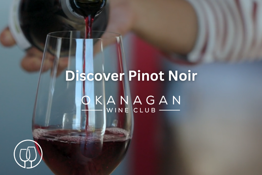 Discover Pinot Noir: An In Depth Course With OWC