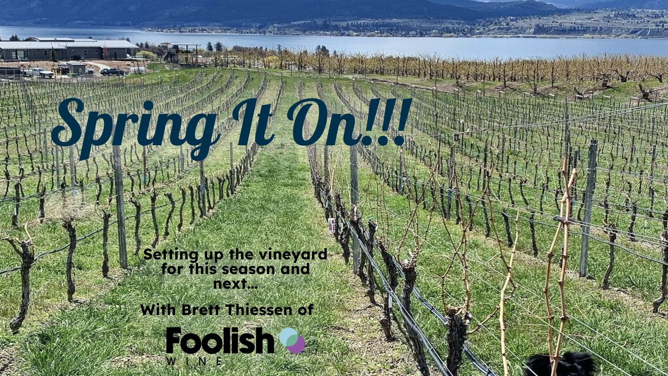 Essential Vine and Vineyard Maintenance - Spring It On!