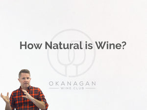 Terroir and Beyond with Rhys Pender MW - HOW NATURAL IS YOUR WINE?